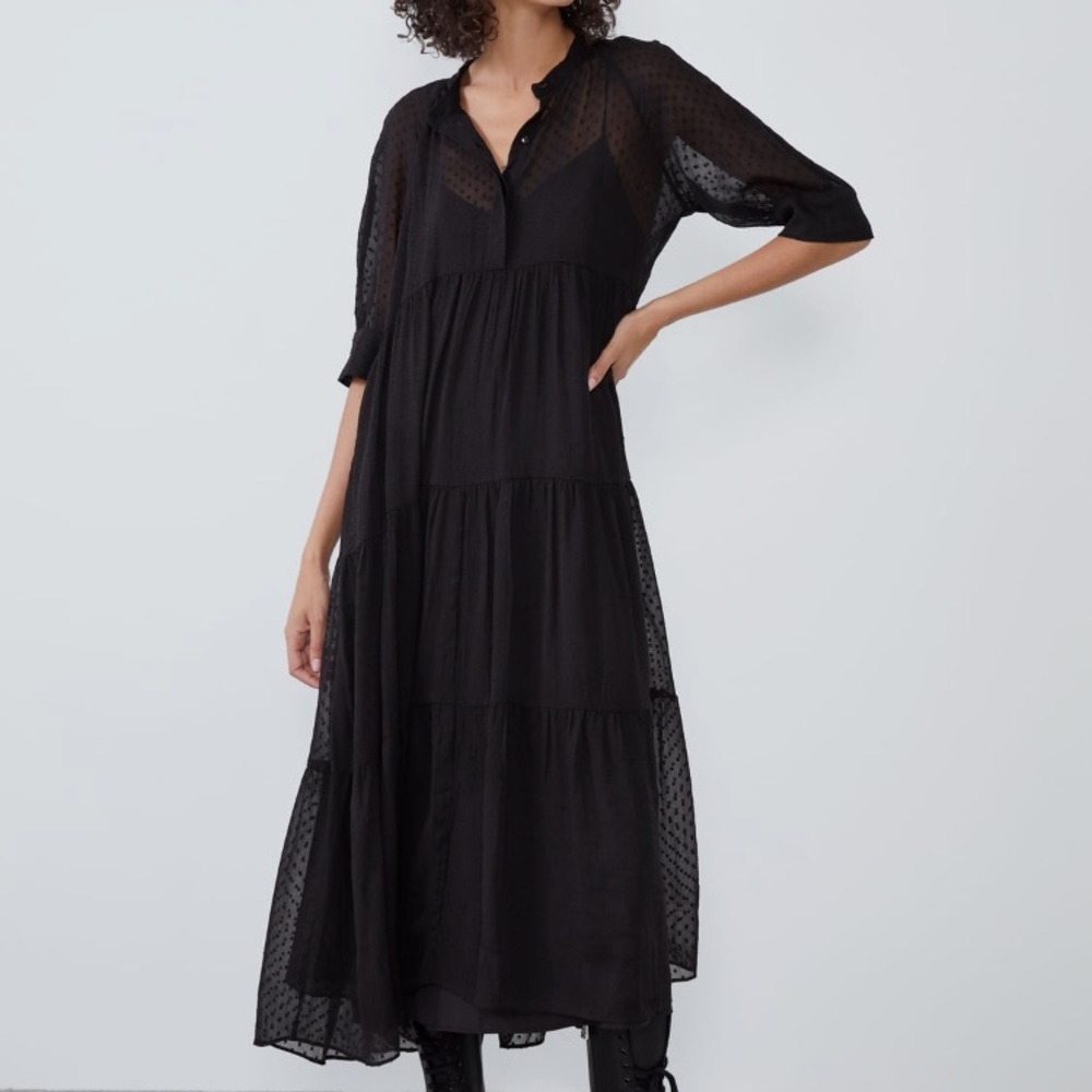 Zara Swiss Dot Dress